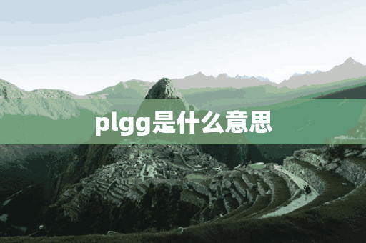 plgg是什么意思(plgg是什么意思中文)